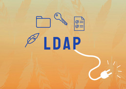 API LDAP